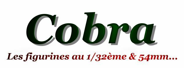 Disque de frein avant France Equipement pour moto MBK Xlimit 2007-2011